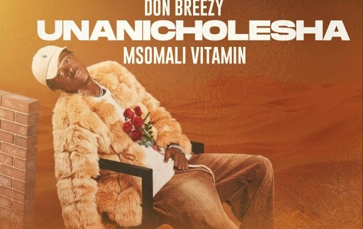Don Breezy – Unanicholesha Ft Msomali