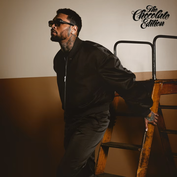 Chris Brown - Man On A Mission Ft. Wizkid