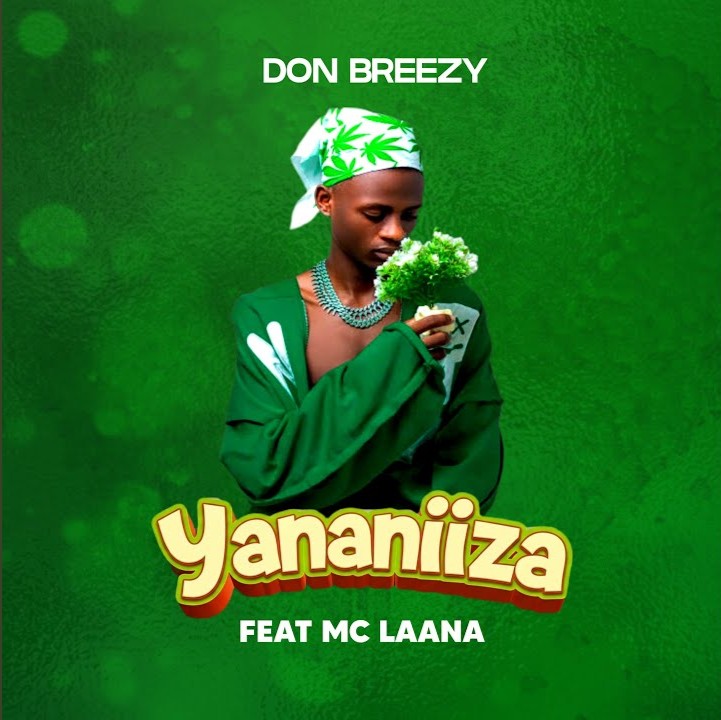 Don Breezy - Yananiiza Ft. Mc Laana
