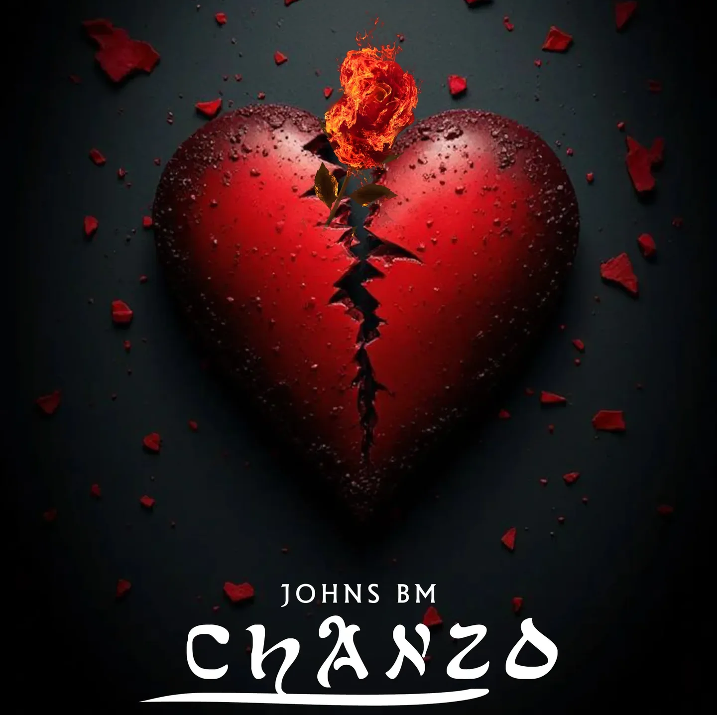 Johns Bm – Chanzo