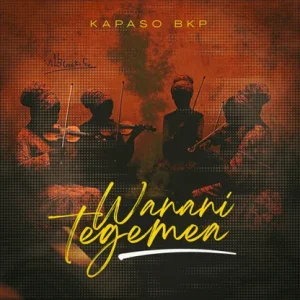 Kapaso Bkp – Wananitegemea