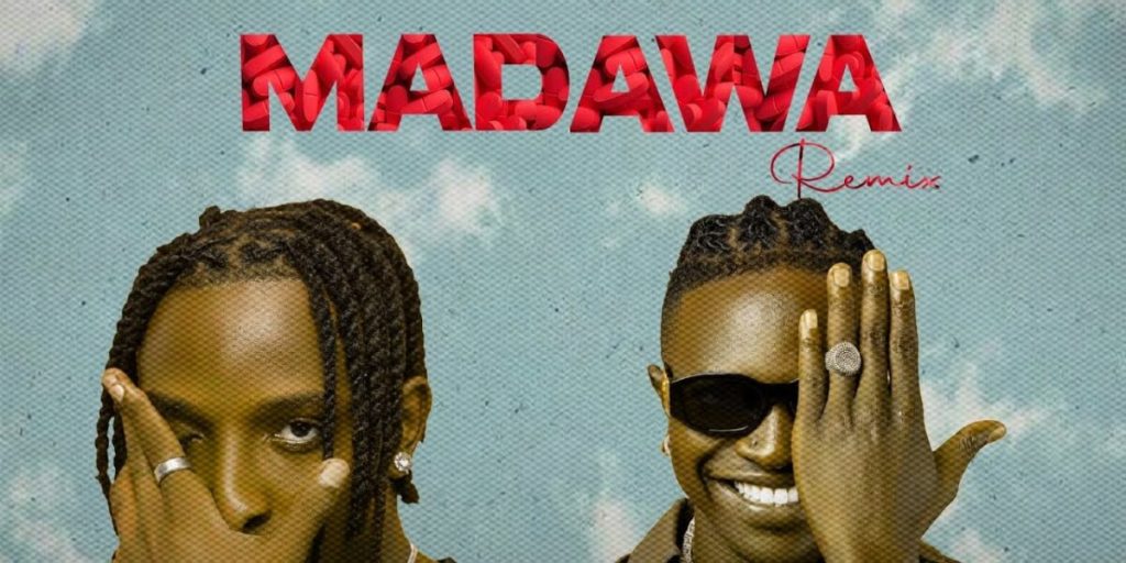 Sani Boy - Madawa (Remix) Ft Mr Seed