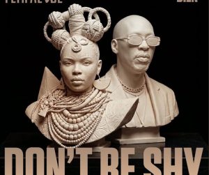 Yemi Alade – Don't Be Shy Ft Bien