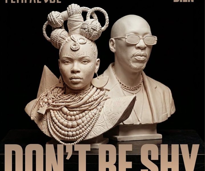 Yemi Alade – Don't Be Shy Ft Bien