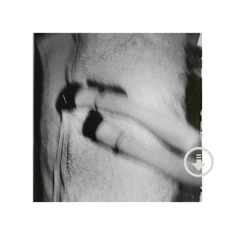 Ariana Grande - Petal