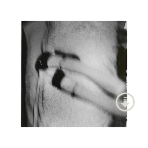 Ariana Grande – Petal Album
