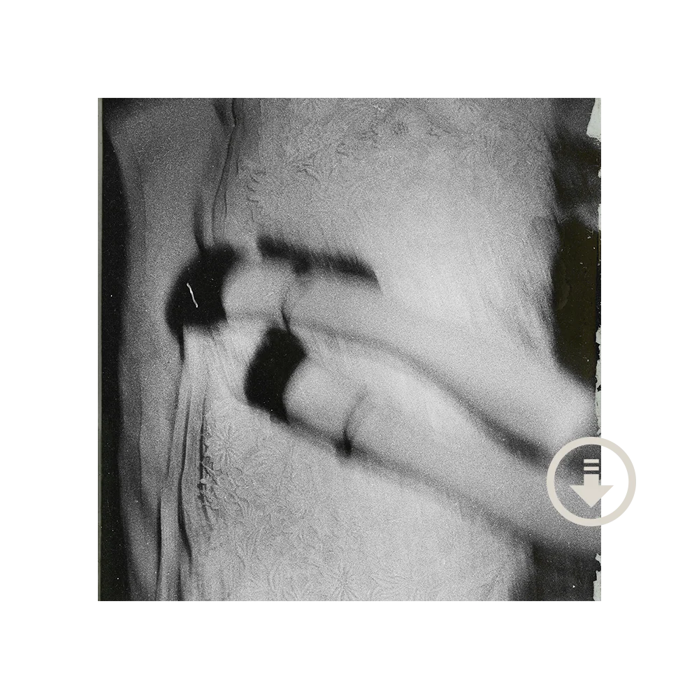Ariana Grande – Petal Album