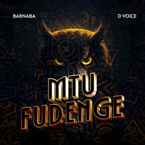 Barnaba – Mtu Fudenge Ft. D Voice