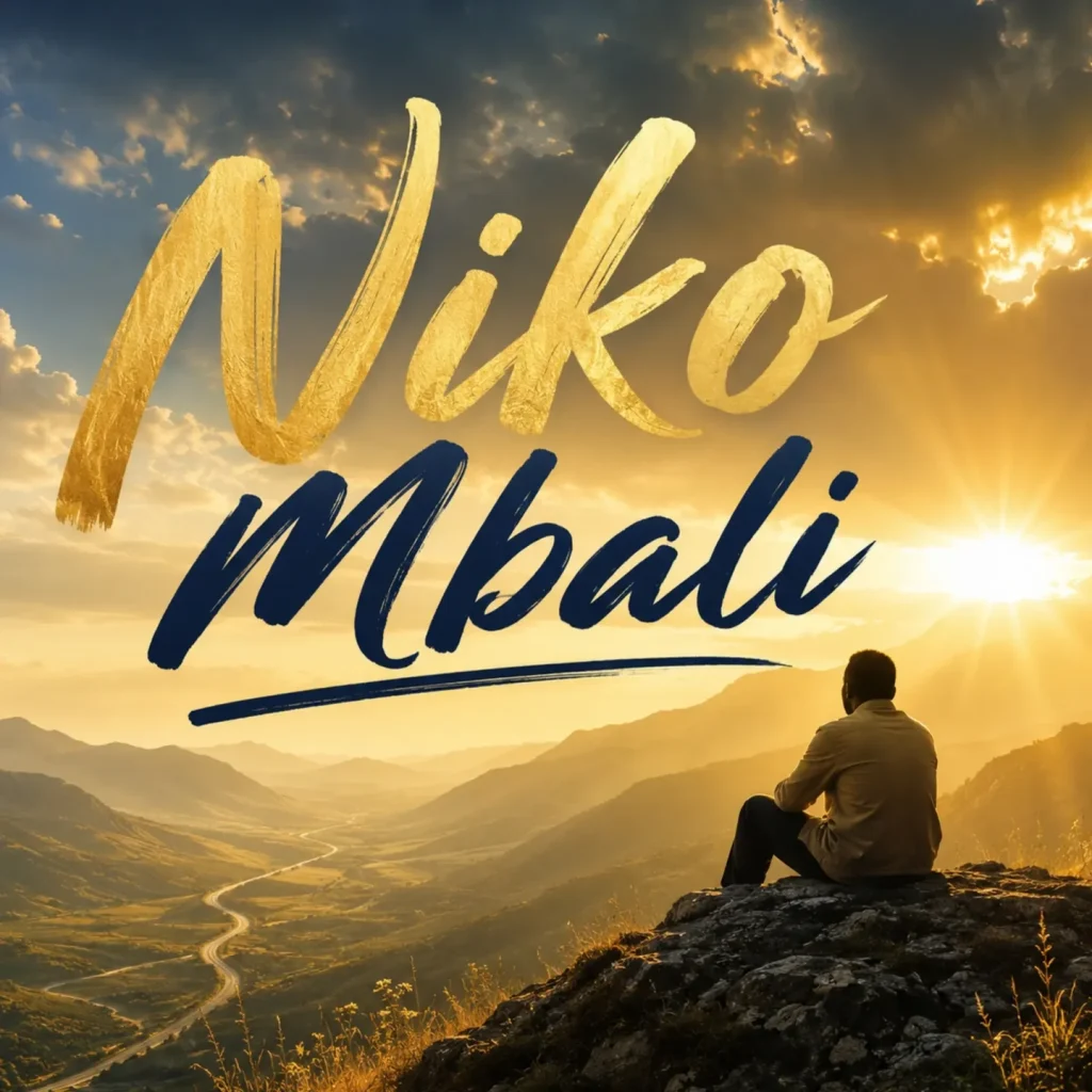 Dizompa Mr Killer - Niko Mbali