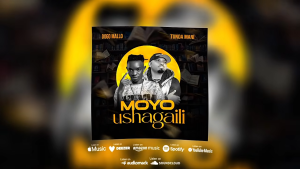 Dogo Mallo - Moyo Ushagaili Ft. Tundamani