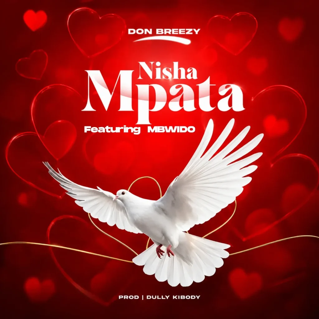 Don Breezy - Nishampata Ft. Mbwido