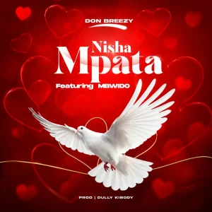 Don Breezy - Nishampata Ft. Mbwido