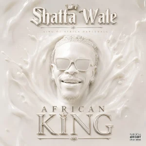 Shatta Wale – God of the Universe